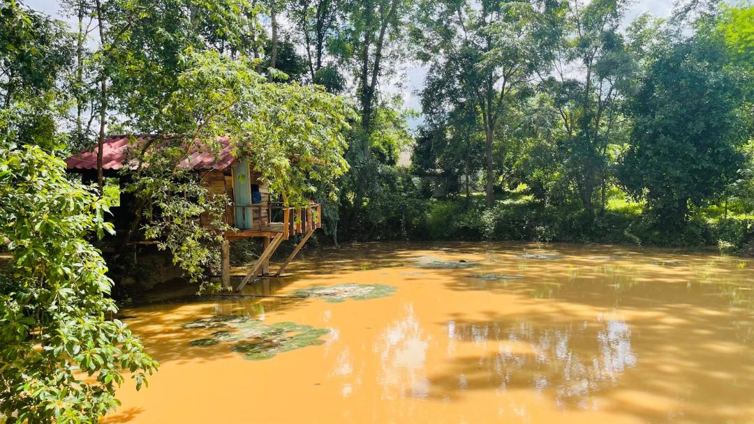 Photo of Outdoor in Chiang Kham