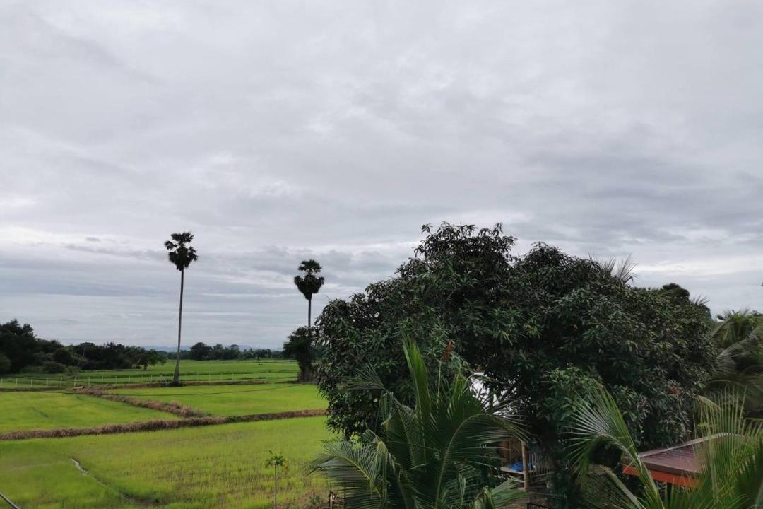 Photo of Others in Sikhio