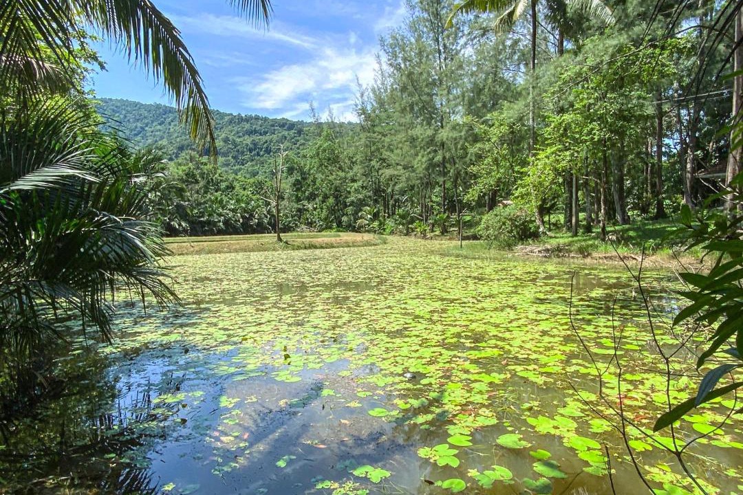 Photo of Others in Kapoe