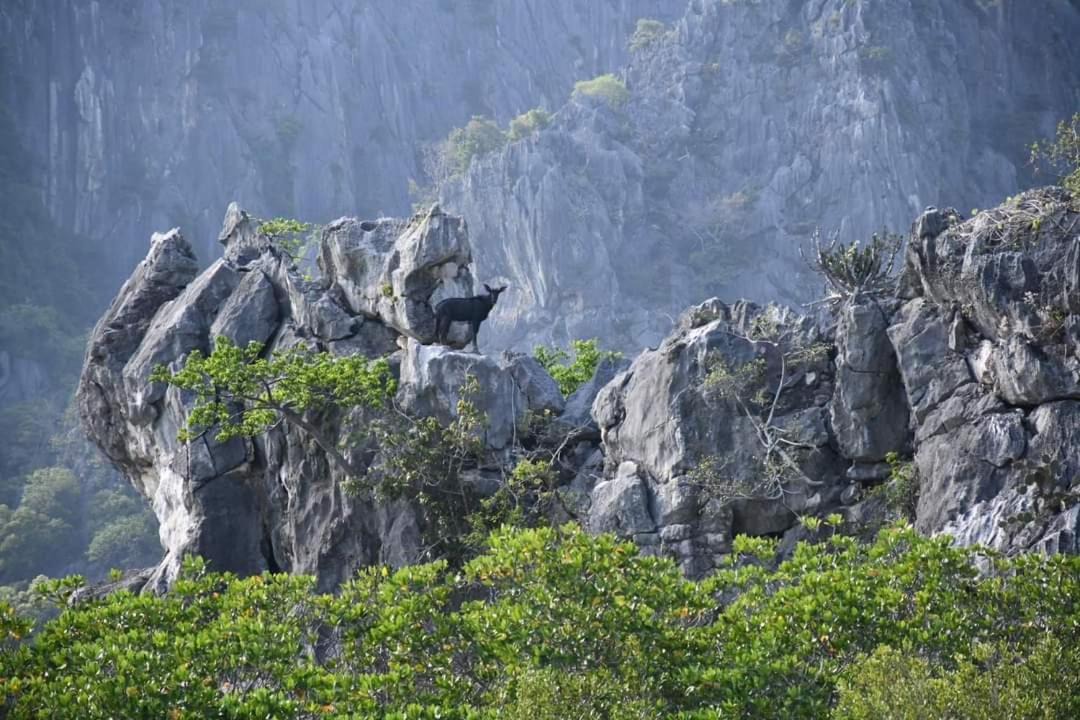 Photo of Others in Sam Roi Yot