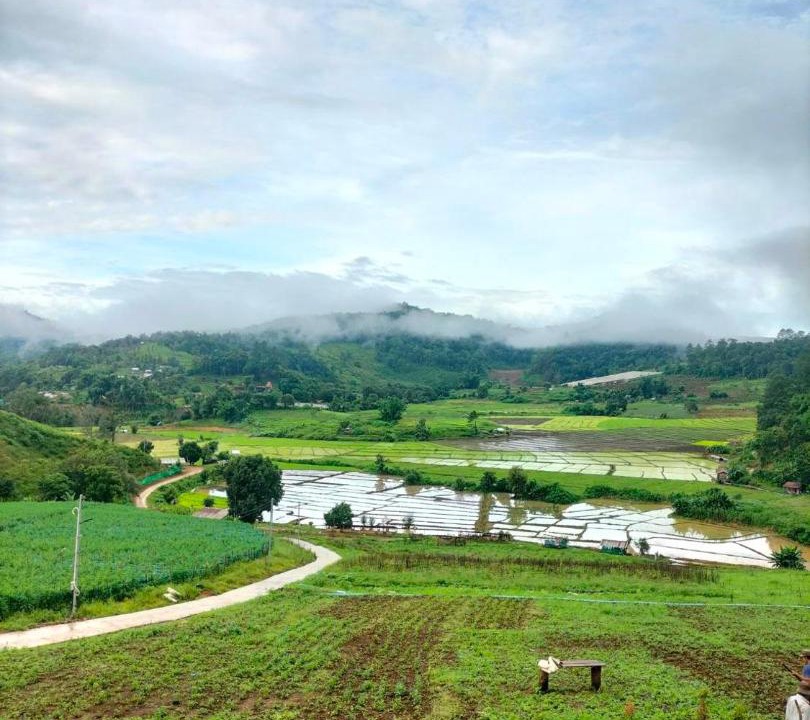 Photo of Others in Huai Makhuea Som