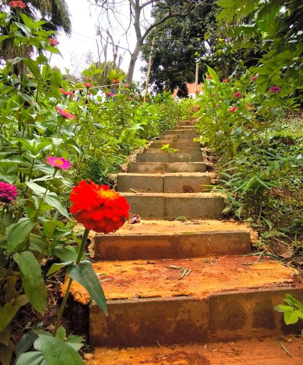 Photo of Outdoor in Doi Lo