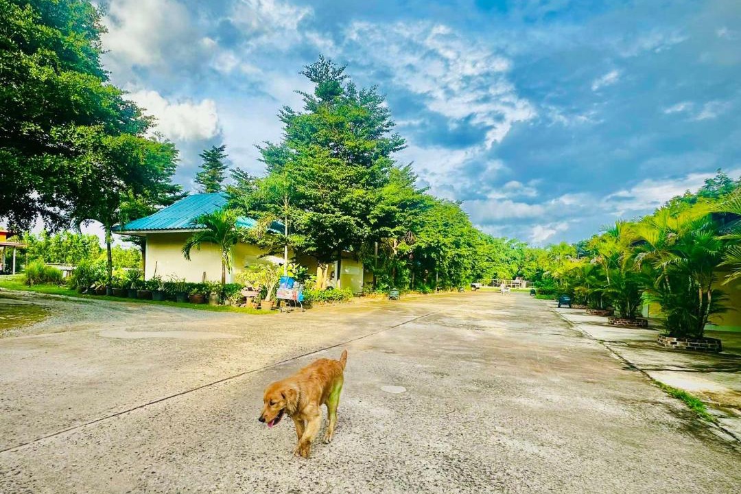 Photo of Others in Khueang Nai
