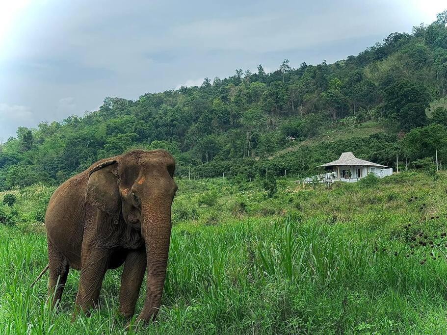 Photo of Others in Mae Taeng