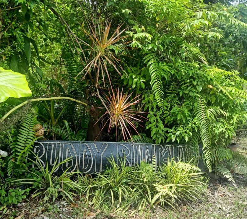 Photo of Outdoor in Ko Lanta