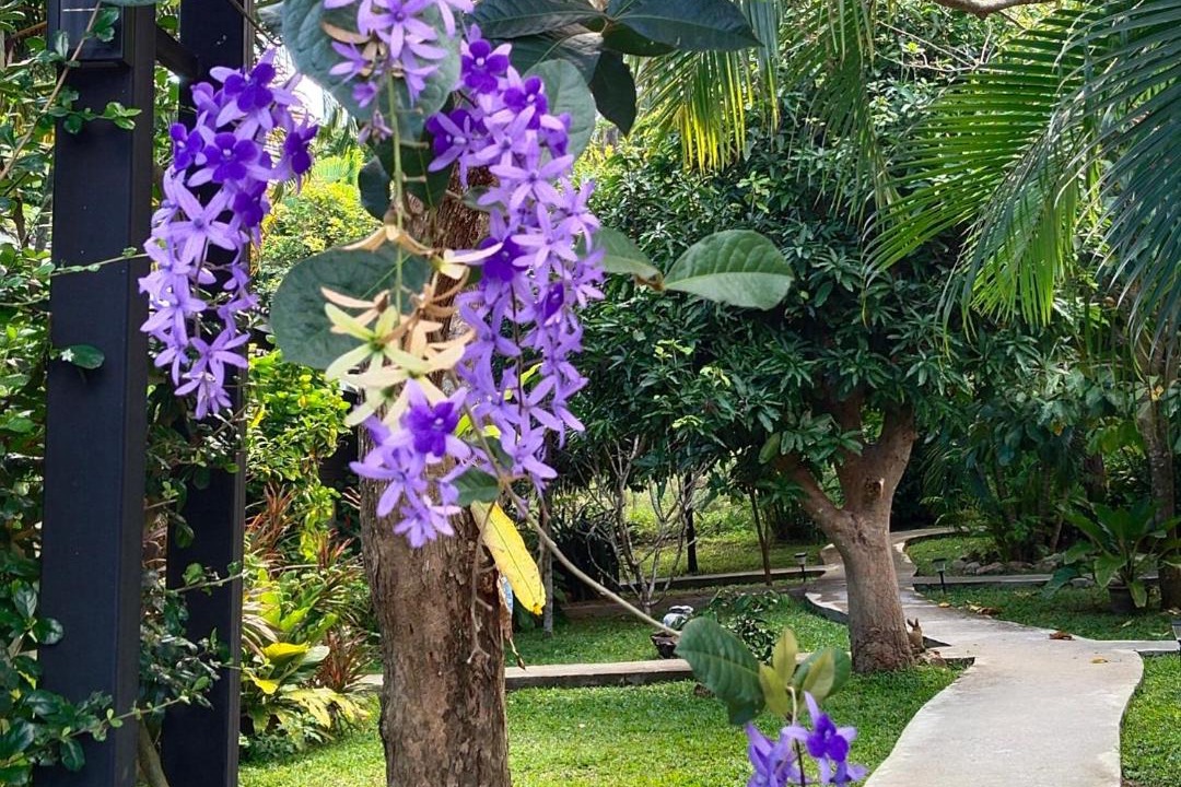 Photo of Others in Mae Nam