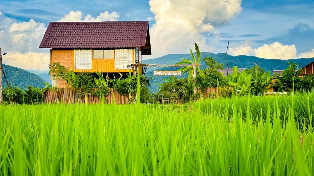 Photo of Others in Chiang Klang