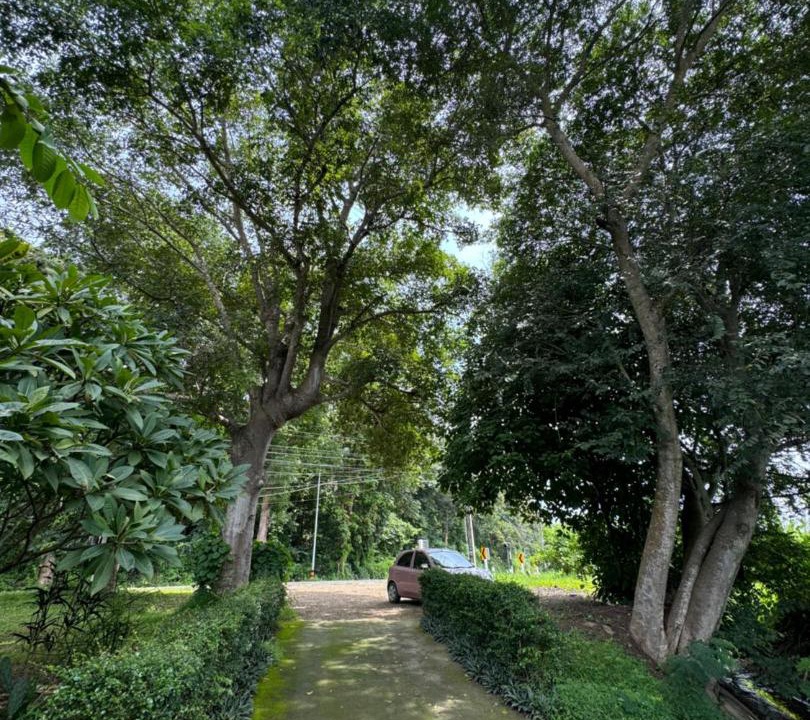 Photo of Outdoor in Mae Taeng