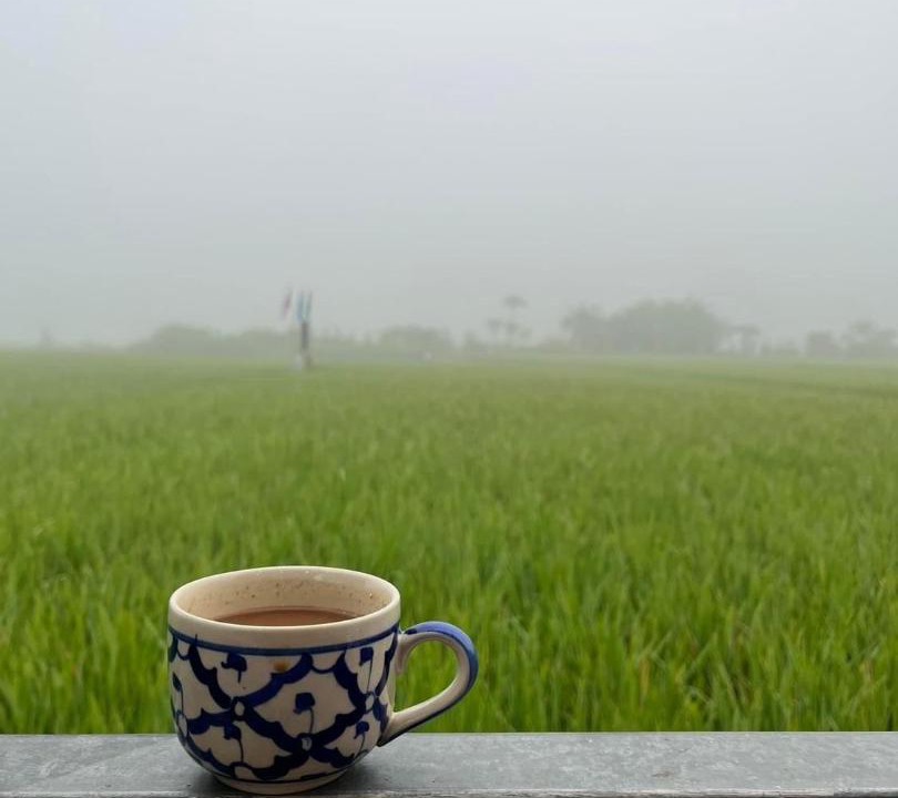 Photo of Others in Wiang Sa