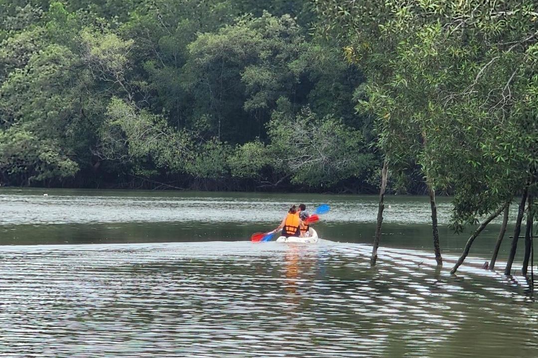 Photo of Others in Phangnga