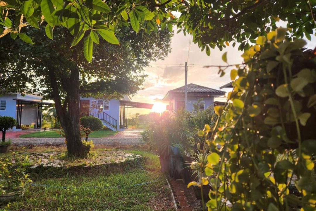 Photo of Others in Phitsanulok