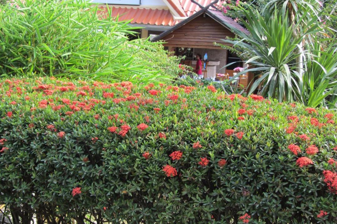Photo of Bedroom in Lamai