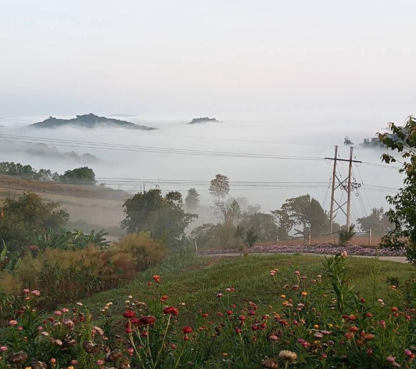 Photo of Others in Lom Kao