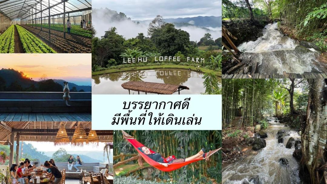 Photo of Others in Chiang Rai Province