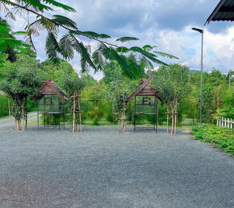 Photo of Outdoor in Mae Pong