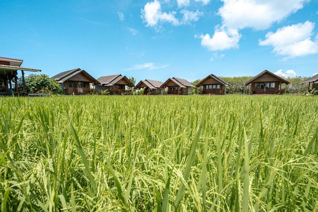 Photo of Others in Ko Yao