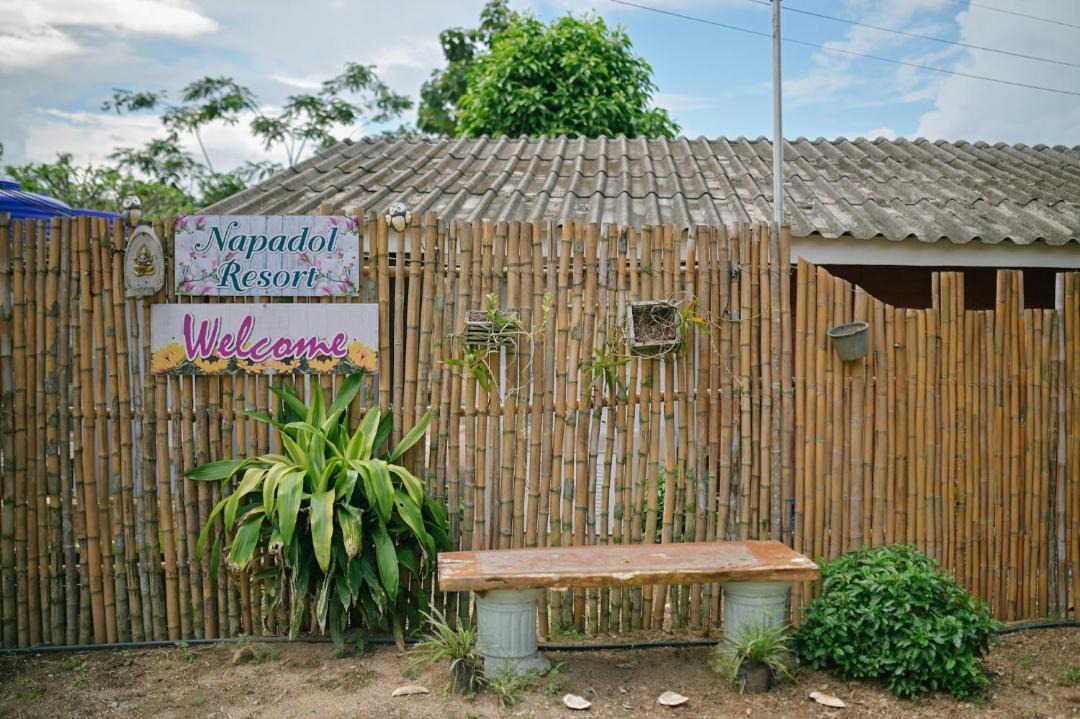 Photo of Others in Mae Suai