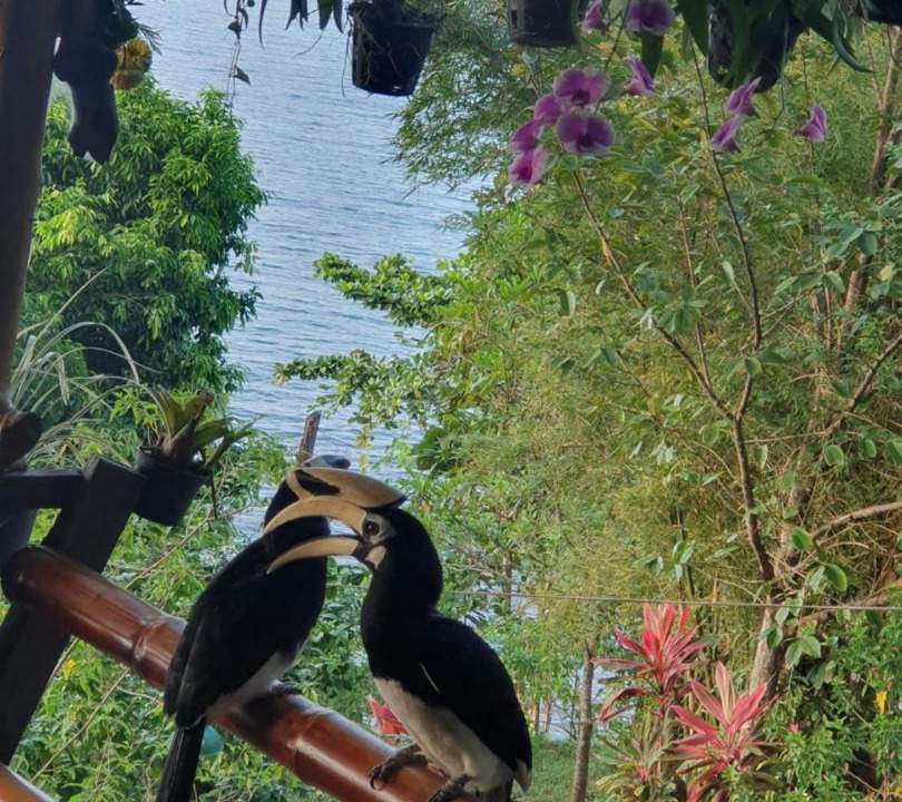 Photo of Others in Ranong