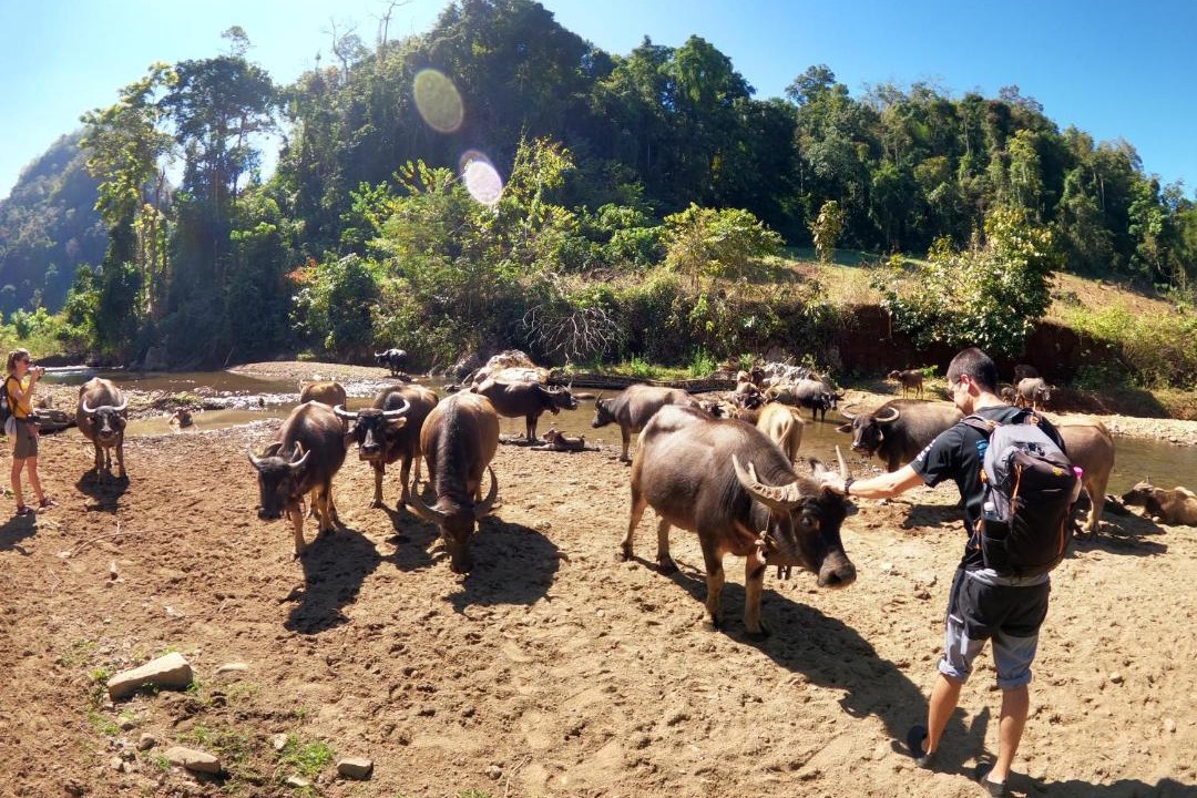 Photo of Others in Pangmapha