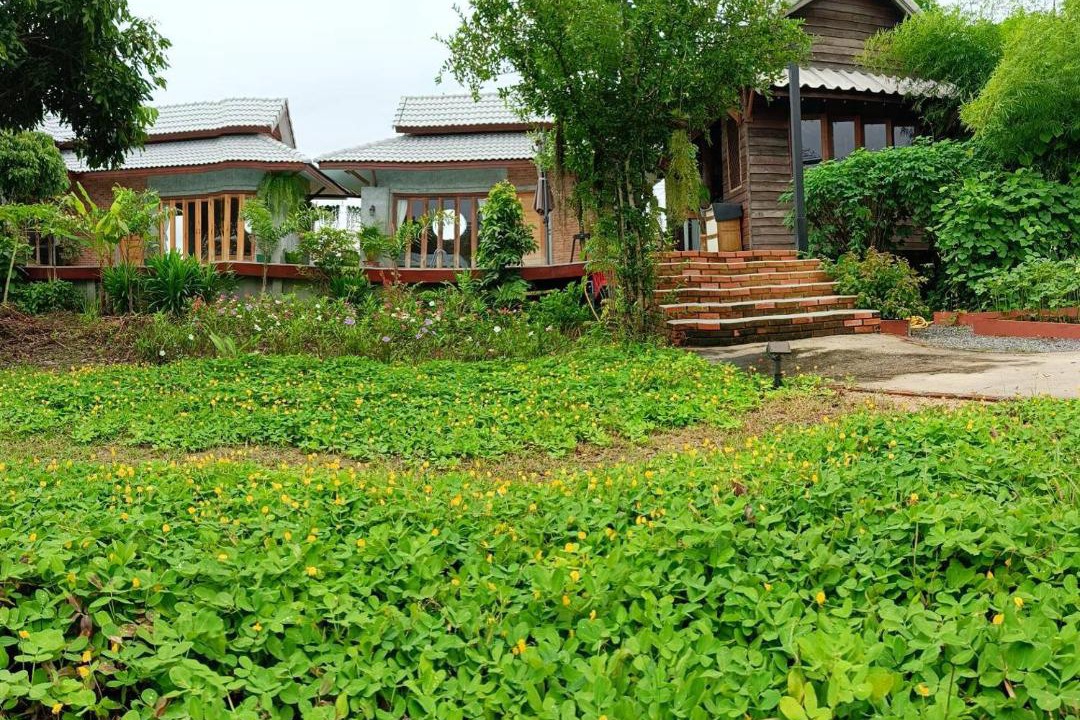 Photo of Buildings in Thung Satok