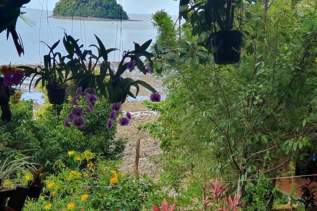 Photo of Others in Ranong