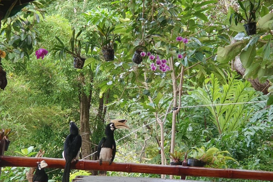 Photo of Others in Ranong