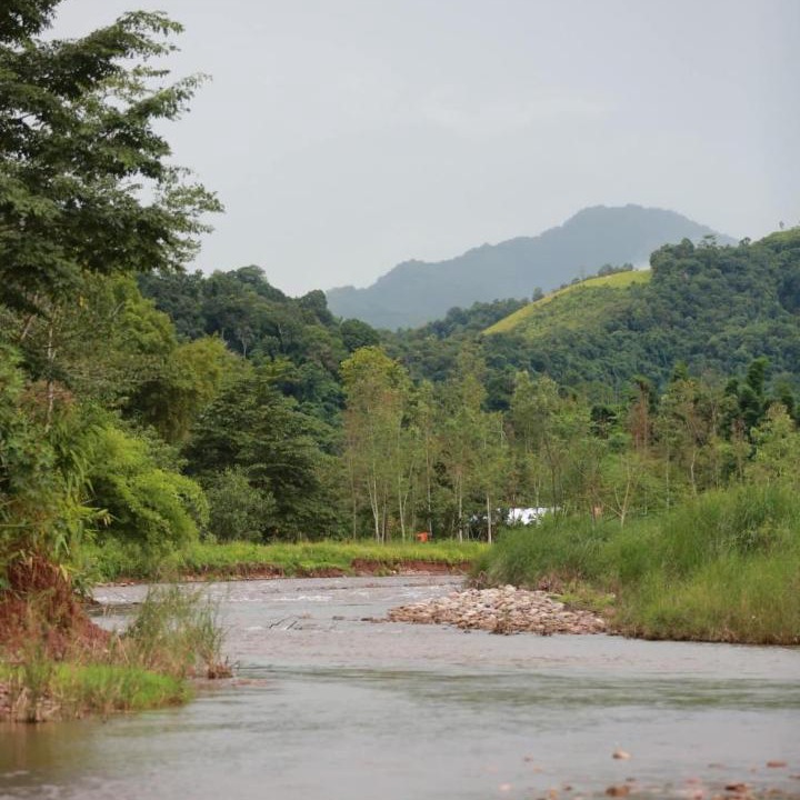 Photo of Others in Bo Kluea