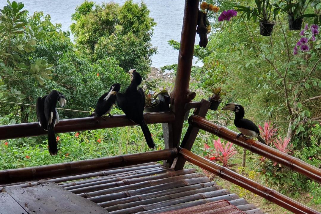Photo of Others in Ranong