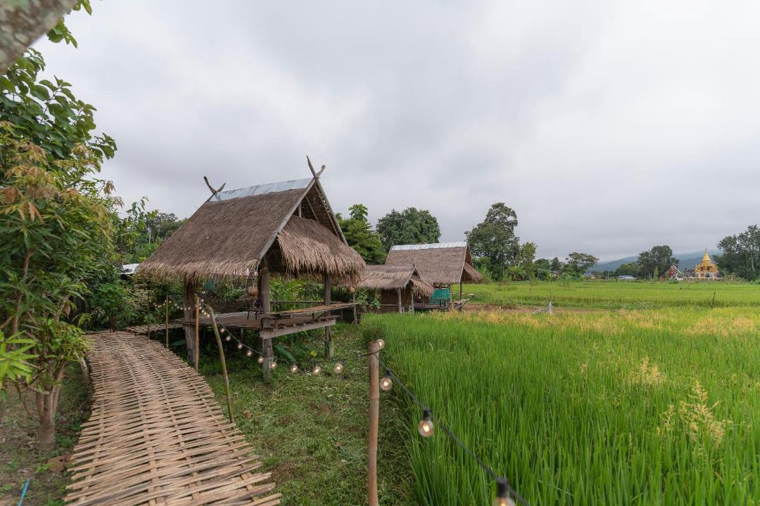Photo of Others in Pai
