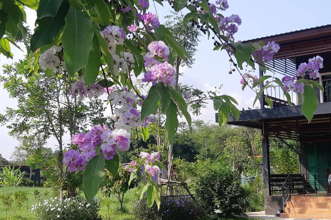 Photo of Others in Nakhon Nayok