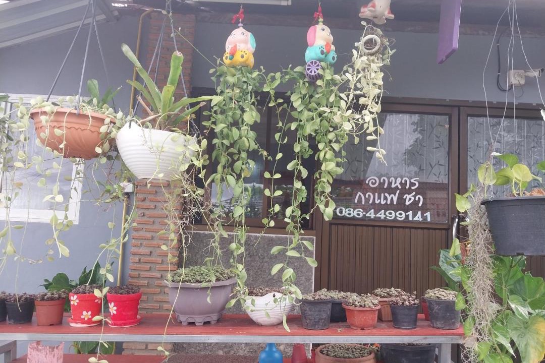 Photo of Others in K. Phu Pieng