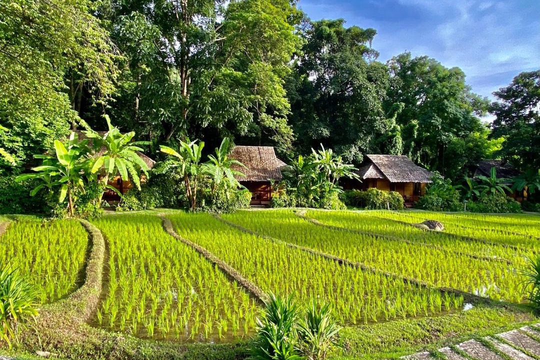 Photo of Others in Mae Hong Son