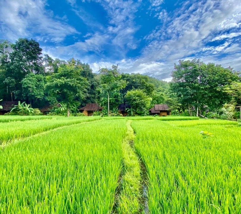 Photo of Others in Mae Hong Son