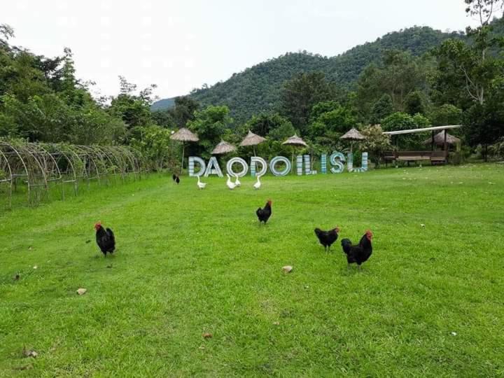 Photo of Others in Mae Taeng