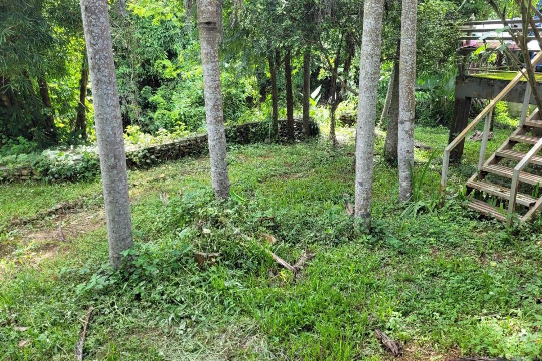 Photo of Others in Mae Pong