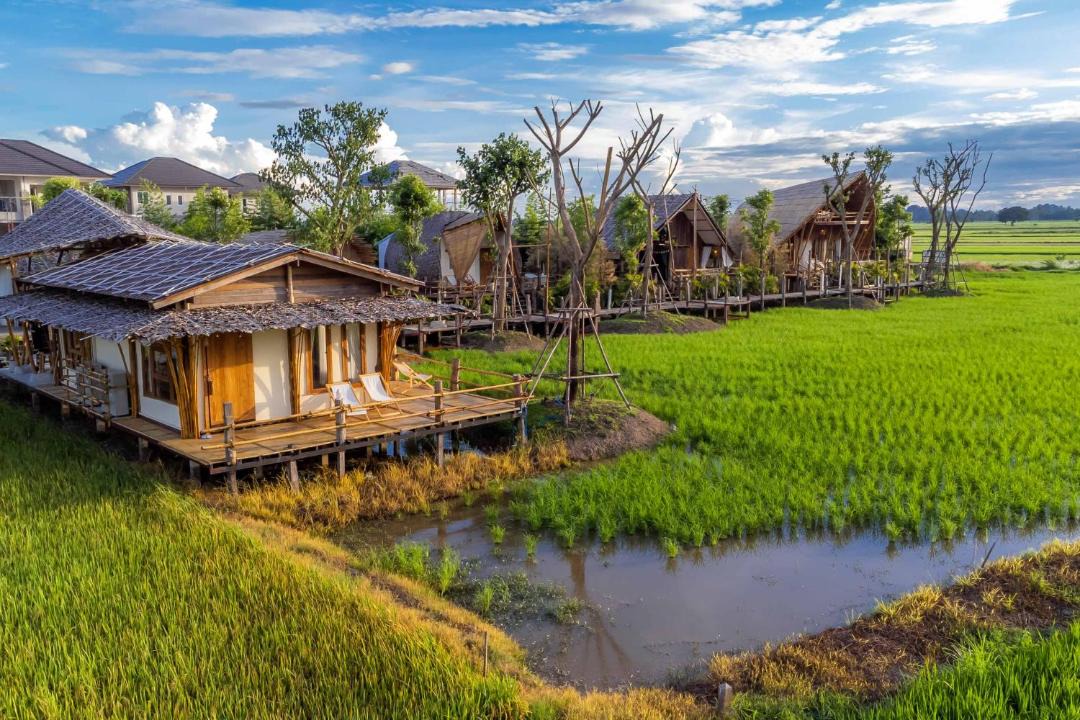 Photo of Others in Phitsanulok