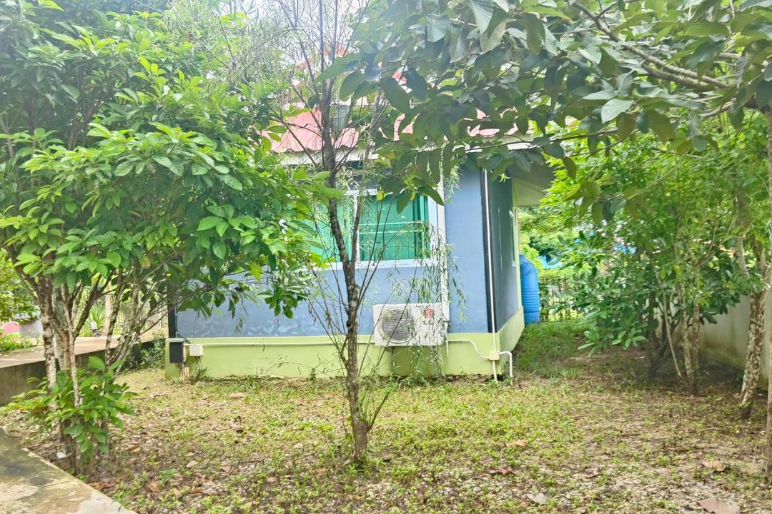 Photo of Others in Doi Tao