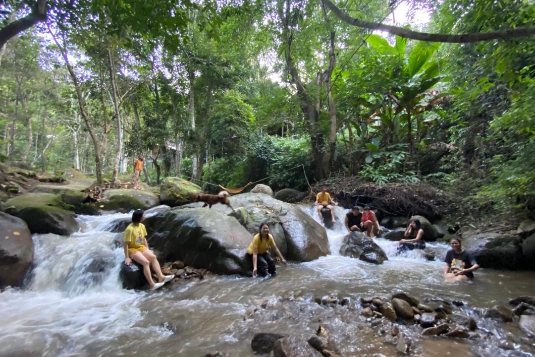 Photo of Others in Chiang Dao District