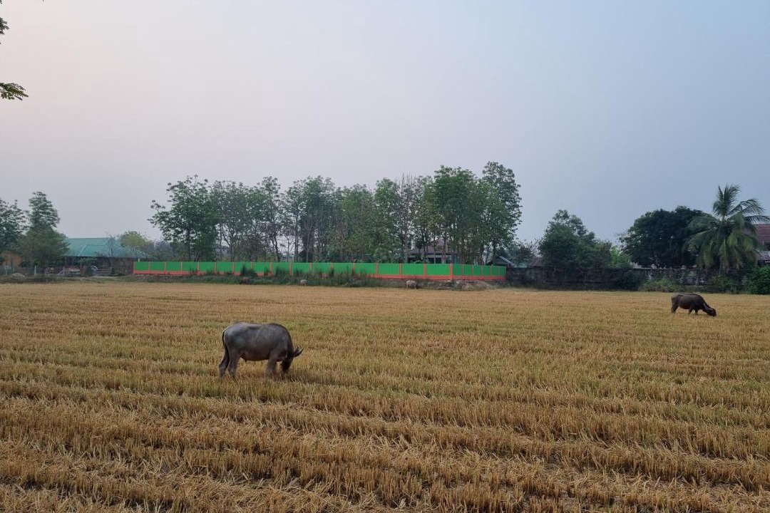 Photo of Others in Mueang Kao