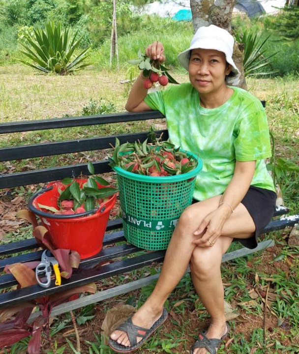 Photo of Others in Khao Kho