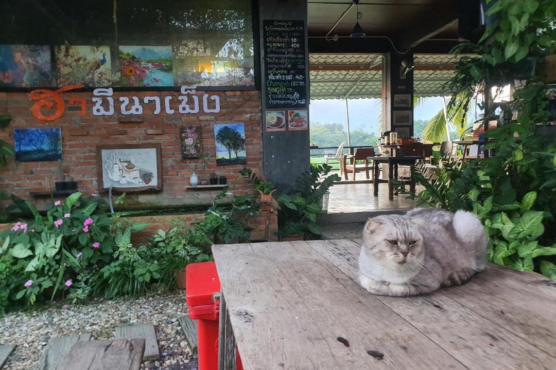 Photo of Others in Phrao