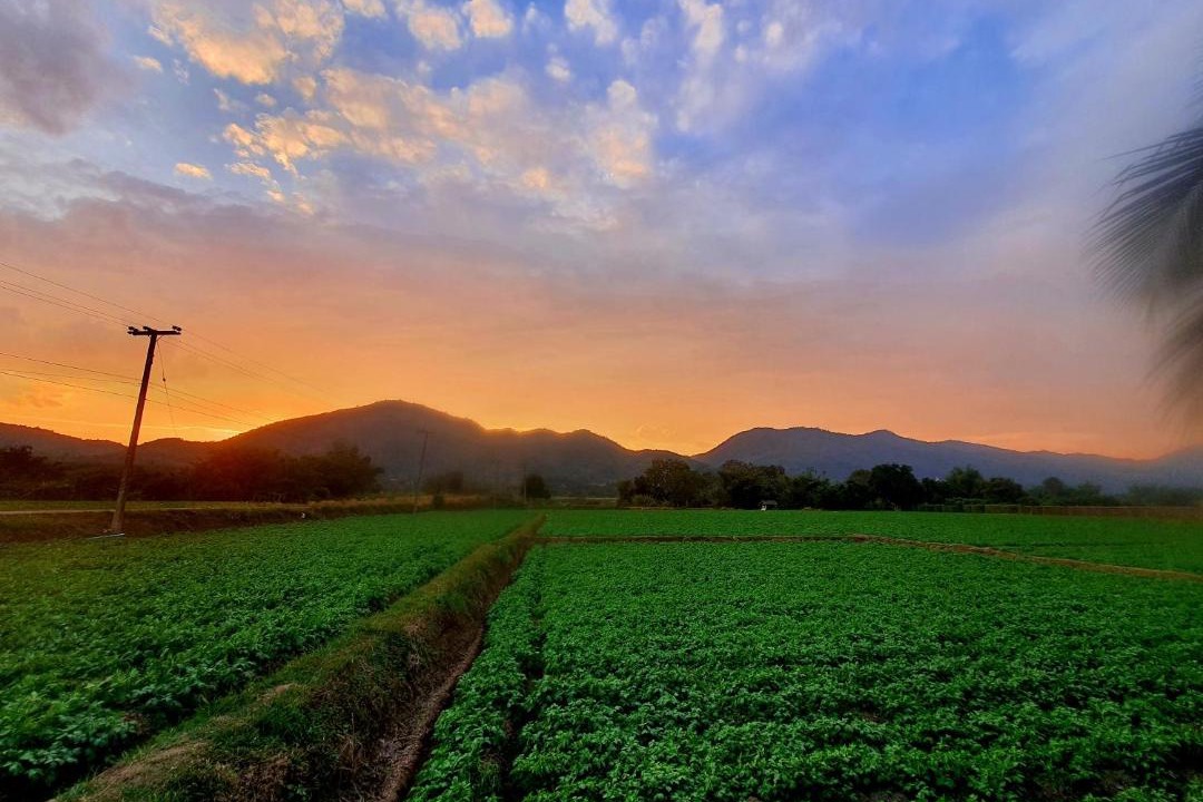 Photo of Others in Phrao