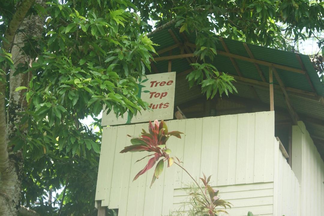 Photo of Others in Bai Lan