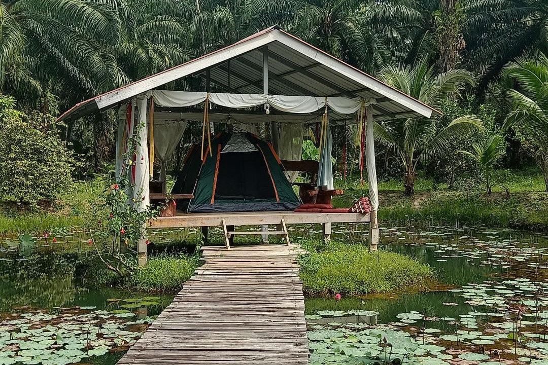 Photo of Others in Krabi