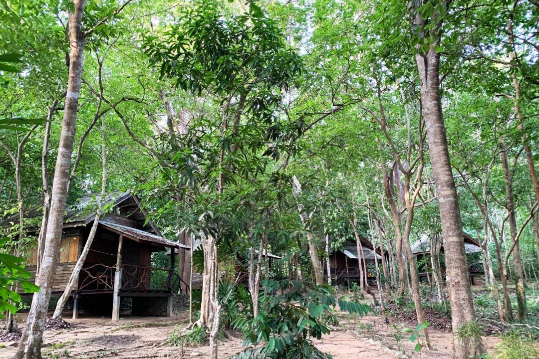 Photo of Others in Nuea Khlong