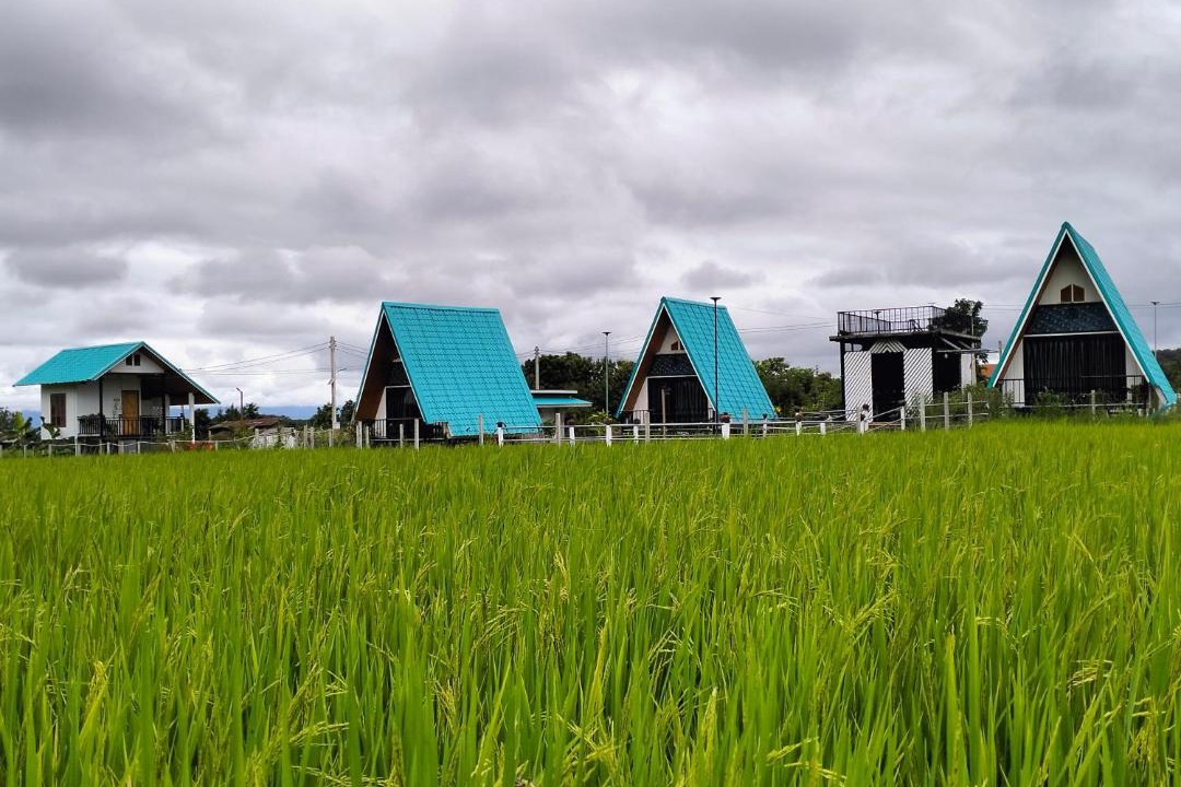 Photo of Buildings in Pua