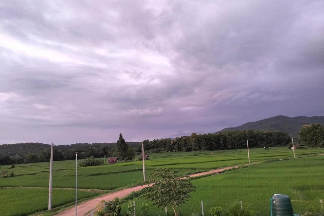 Photo of Others in Pua