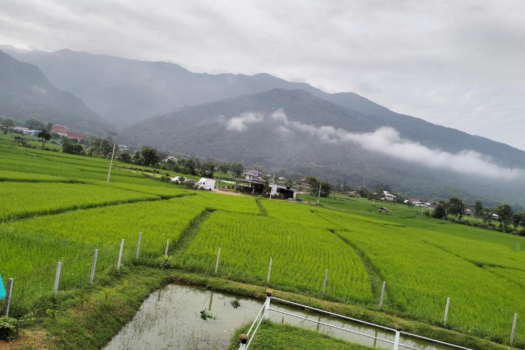 Photo of Outdoor in Pua