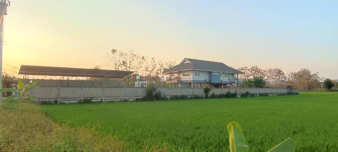 Photo of Others in Chiang Rai