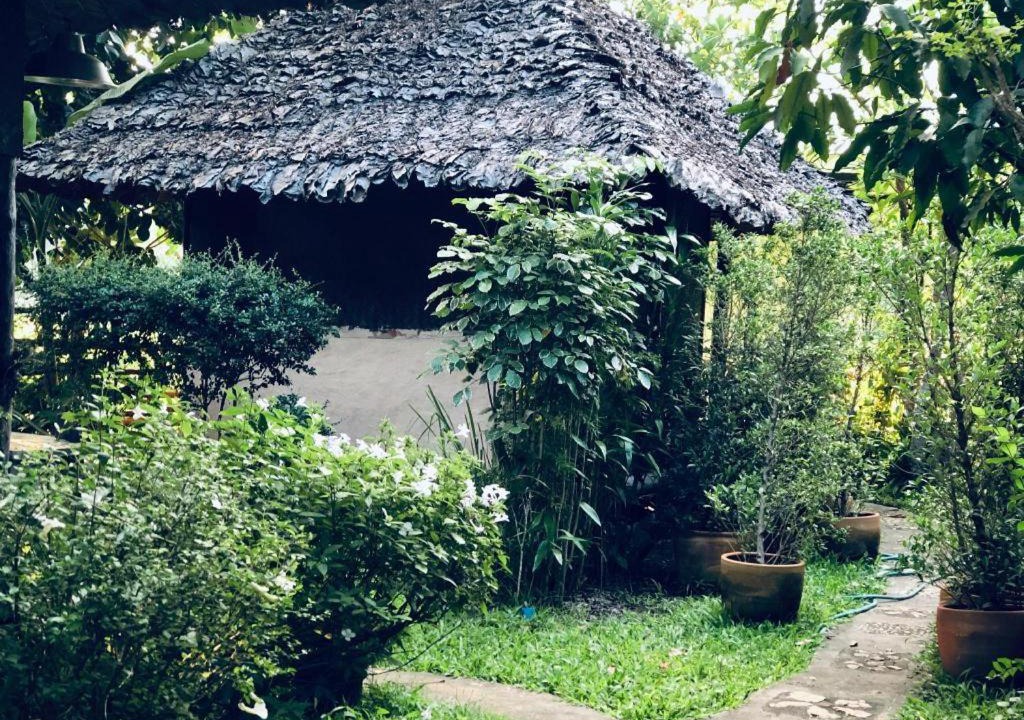 Photo of Others in Pai